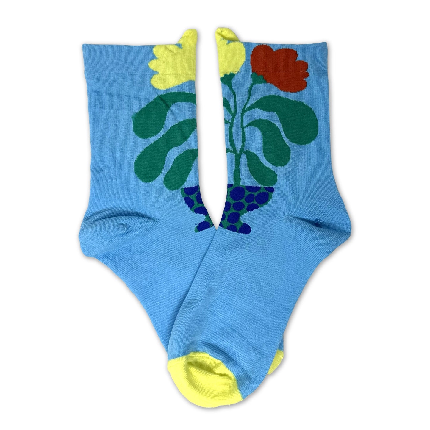 Rainbow Unicorn Birthday Surprise - Barrymore Socks Flower
