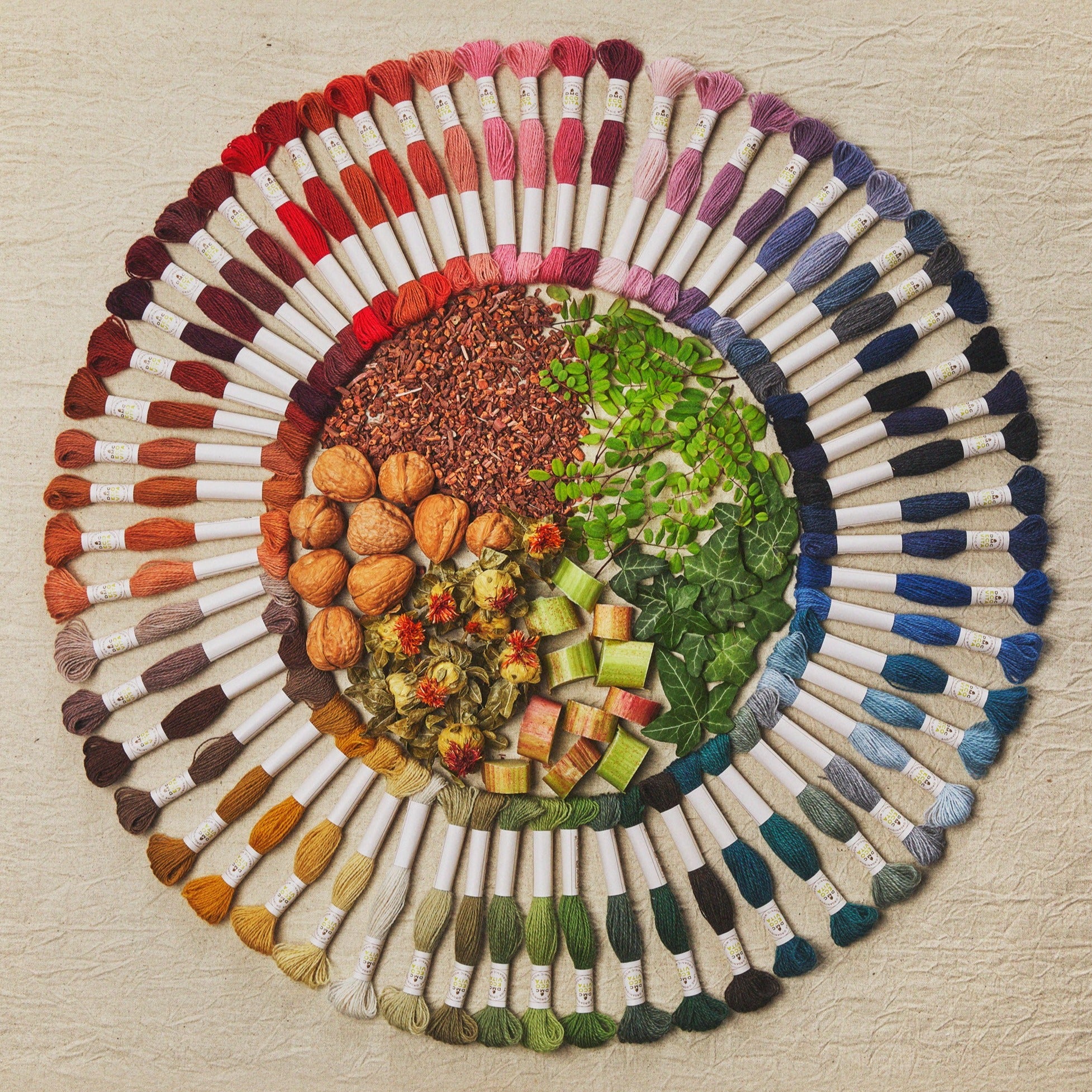 DMC Eco Vita Organic Dyed Wool-Free Thread view 3