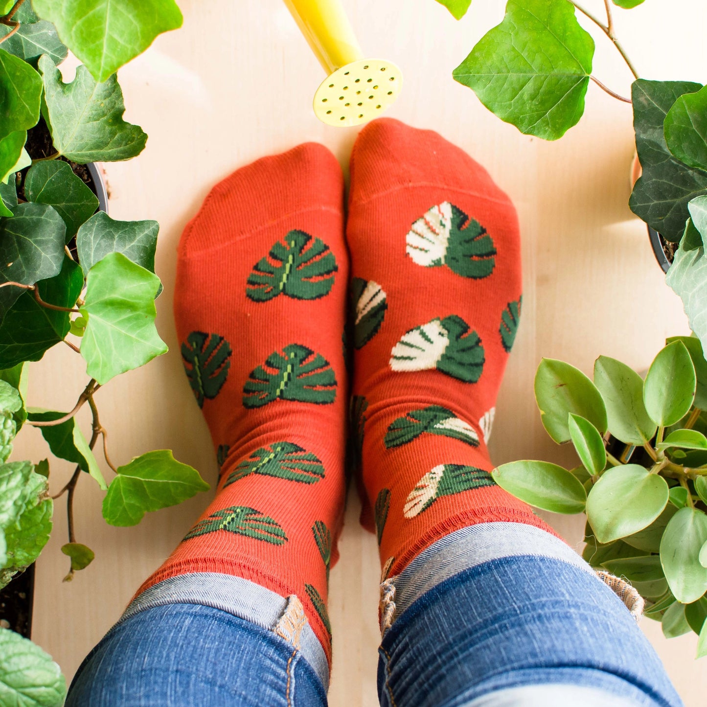 Friday Sock Co. -Women's Socks | Monstera Leaf | Tropical Plants | Split Leaf Women’s 5 – 10