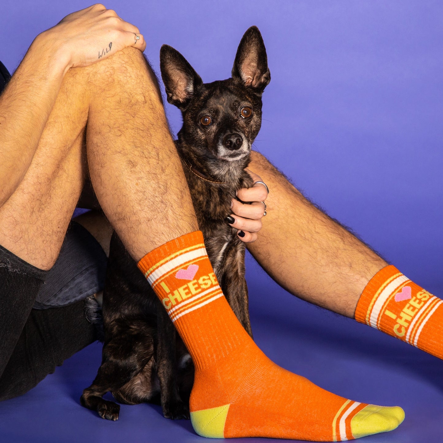 Gumball Poodle - I ❤️ Cheese Gym Crew Socks