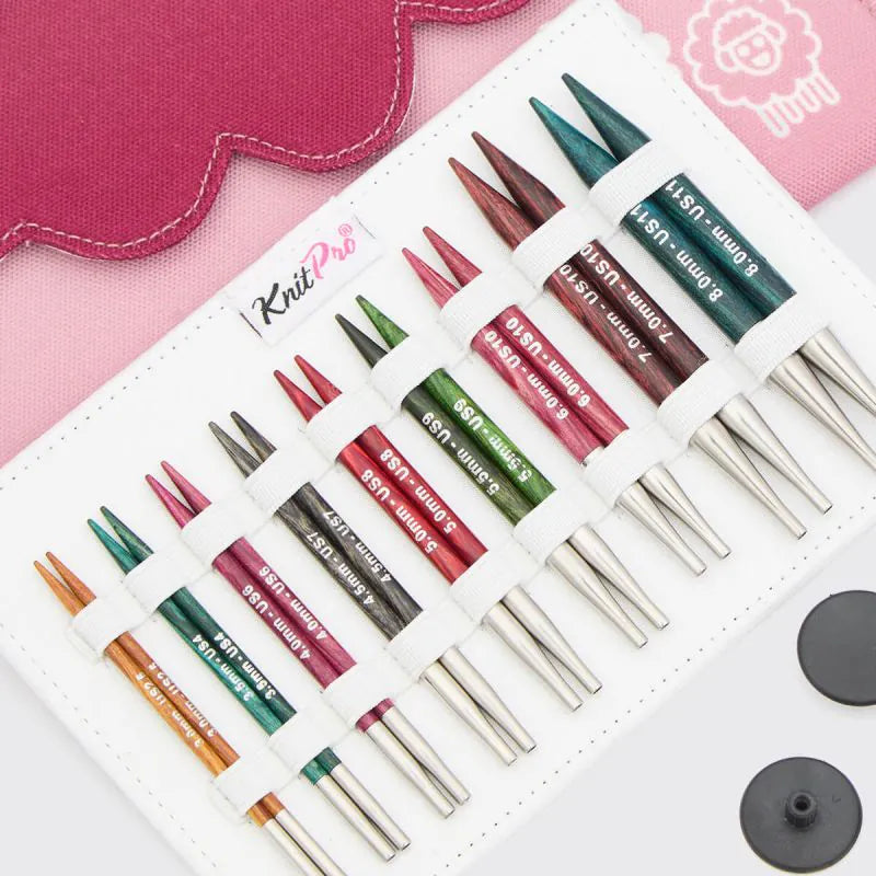 KnitPro Dreamz Special 4" Circular Deluxe Set