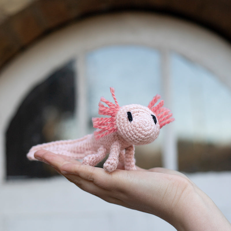 Toft Mini Crochet Kit- Danielle the Axolotl