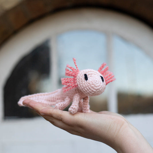 Toft Mini Crochet Kit- Danielle the Axolotl