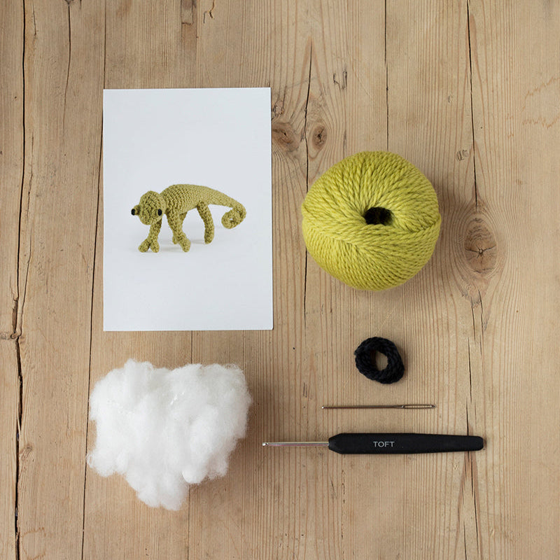 Toft Mini Crochet Kit- Kerry the Chameleon