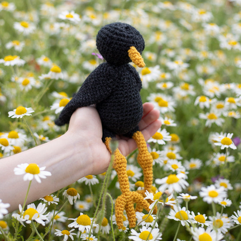 Toft Crochet Kit - Peter the Blackbird