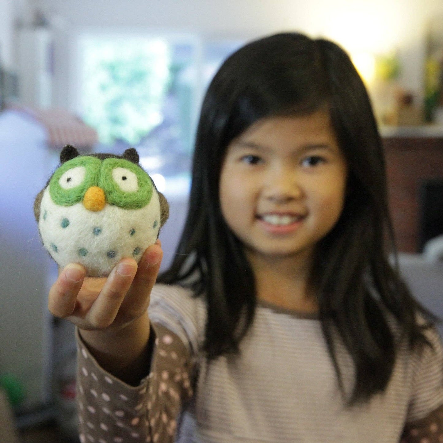 Woolbuddy DIY Needle Felting Kit - Owl