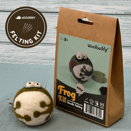 Woolbuddy DIY Needle Felting Kit – Frog