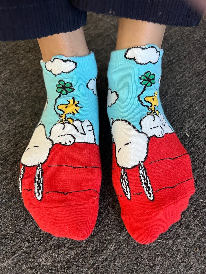 Lucia's K-Wonderland - Peanuts Colorful Ankle Socks- Sky - Red Roof