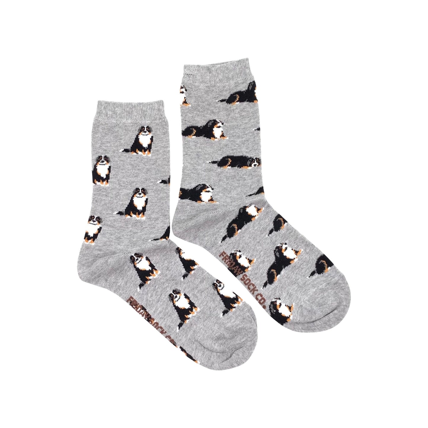 Friday Sock Co. - Dog Socks for Women | Bernese Mountain | Mismatched | Eco Women’s 5 – 10