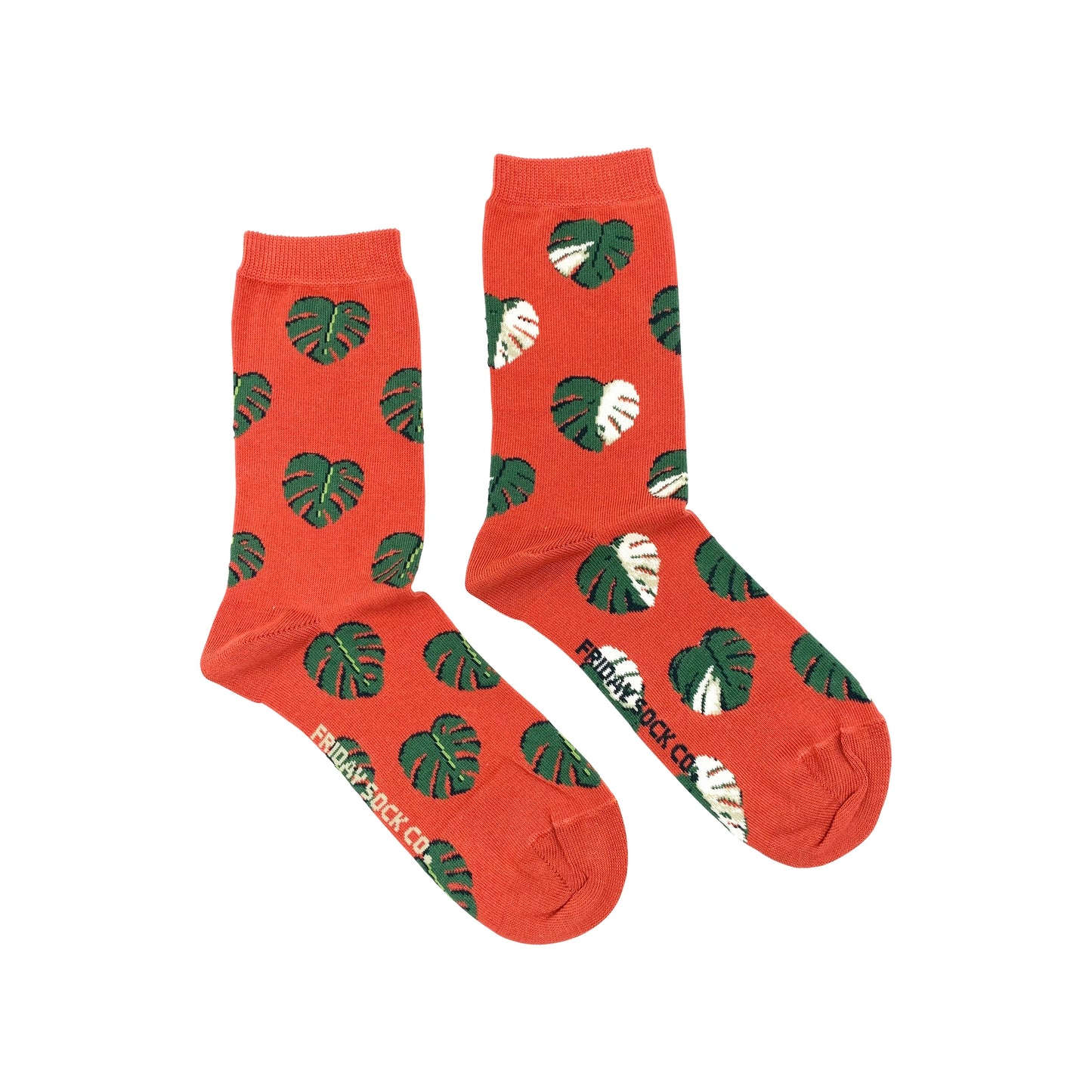 Friday Sock Co. -Women's Socks | Monstera Leaf | Tropical Plants | Split Leaf Women’s 5 – 10