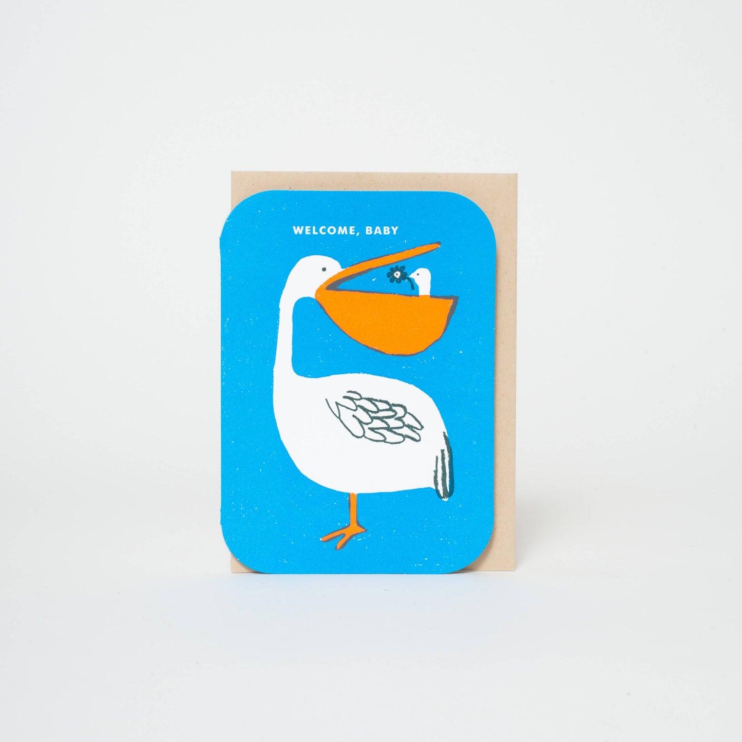 Baby Congrats Pelican Welcome Letterpress Card