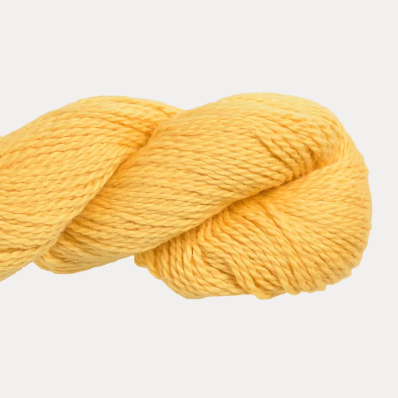 Blue Sky Fibers Organic Cotton Sport
