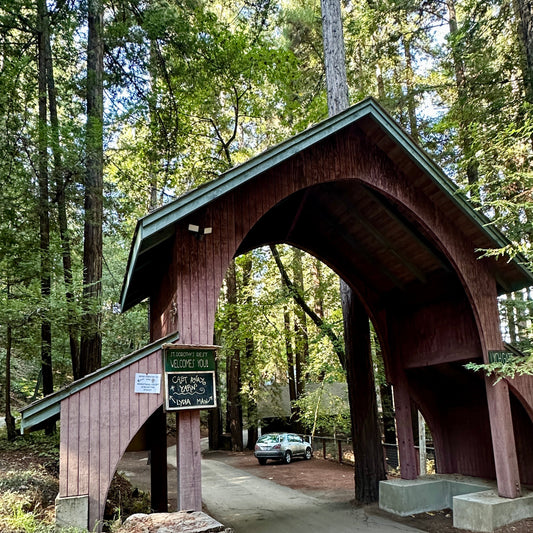 A Knitting Retreat in the Redwoods