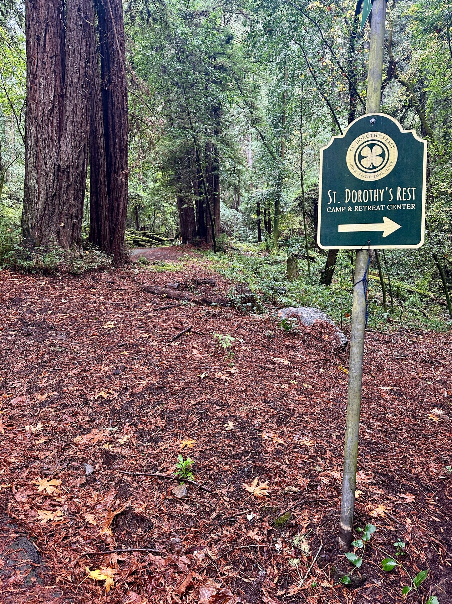 A Knitting Retreat in the Redwoods