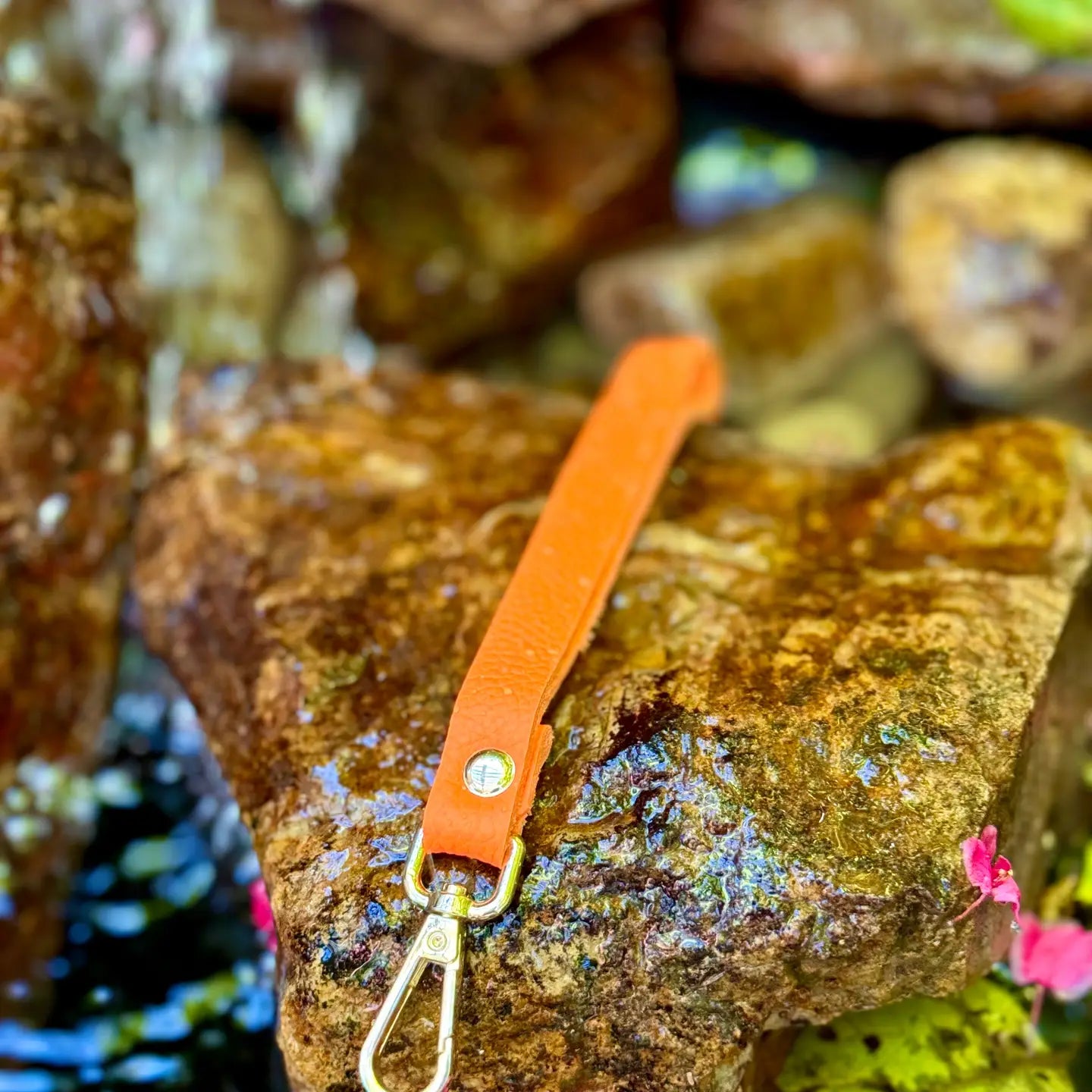 Lemonwood Mini Minder Straps