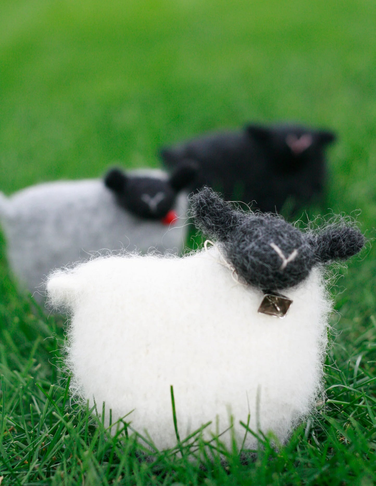 Whimsical Woolies, 20 projects to knit and felt