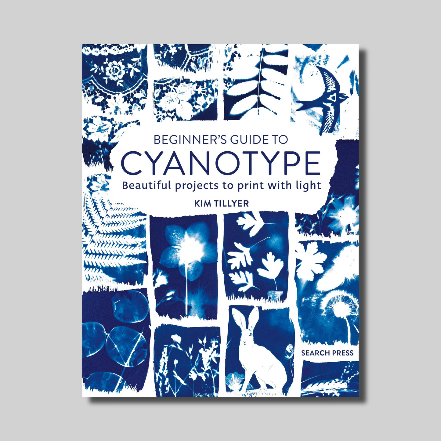 Beginner's Guide to Cyanotype