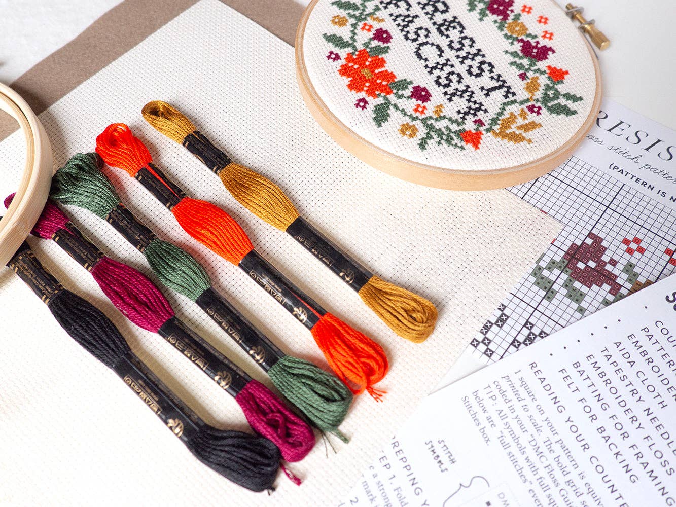 Resist Fascism Cross Stitch Kit