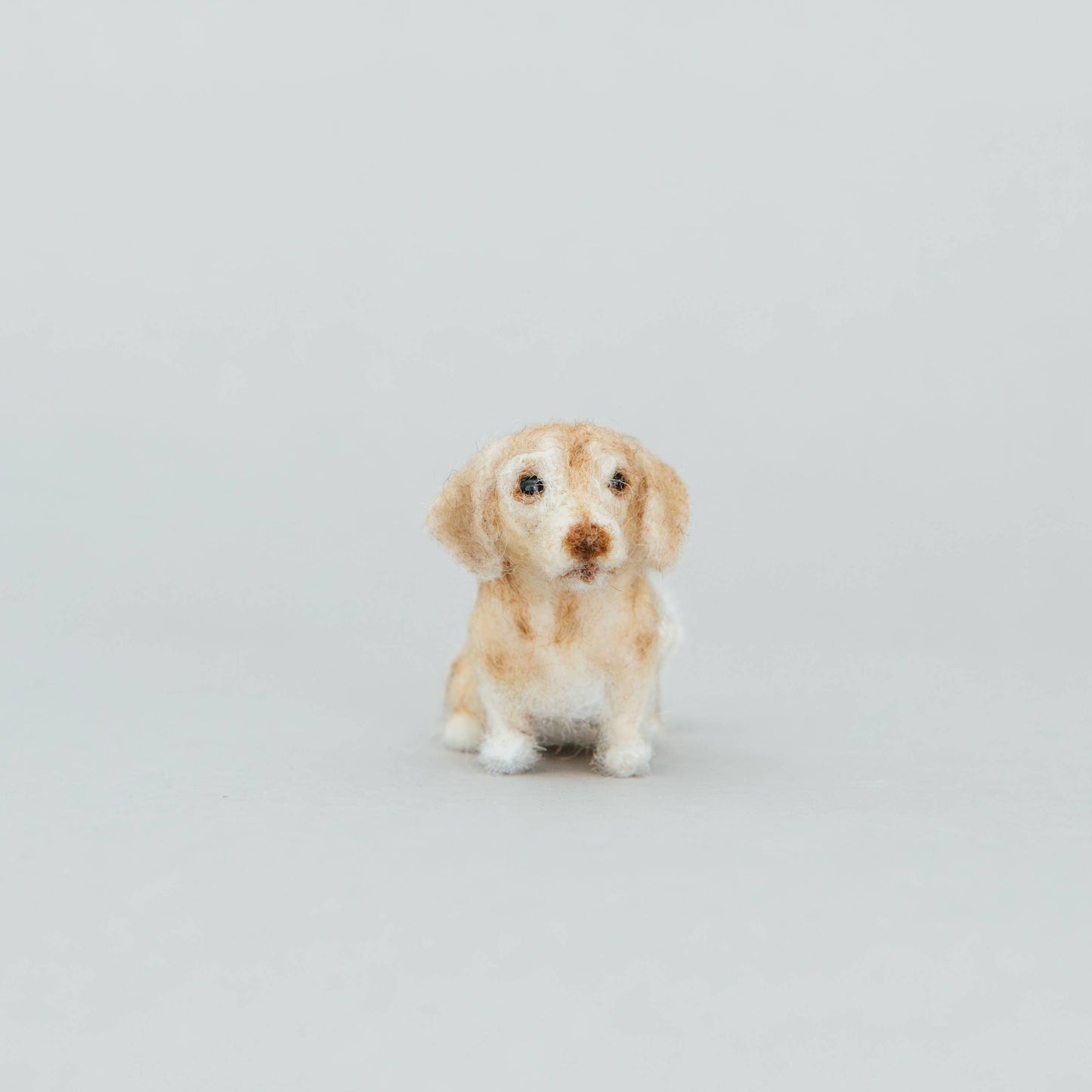 Little Felted Friends: Dachshund Needle-Felting Kit