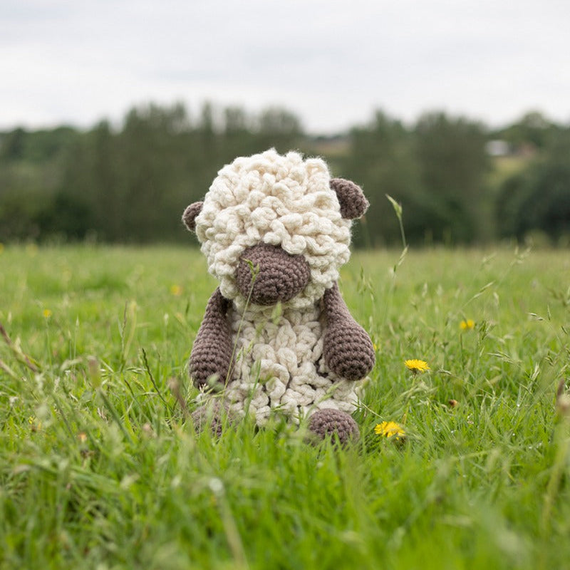 Toft Mini Crochet Kit - Hank the Sheep – Cast Away Yarn Shop