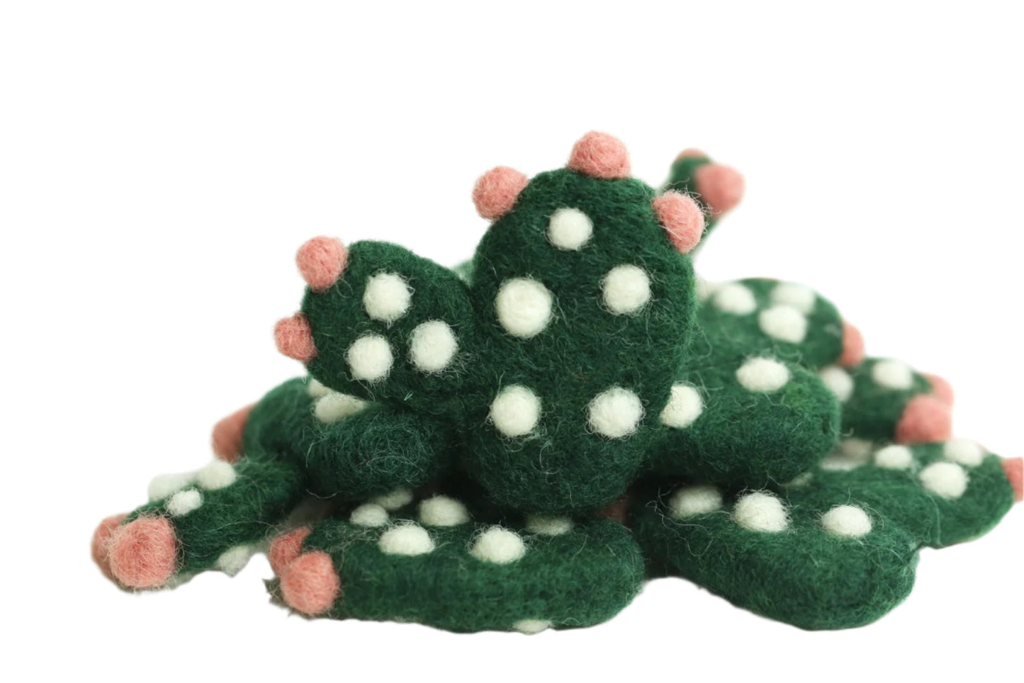 Felt Succulent