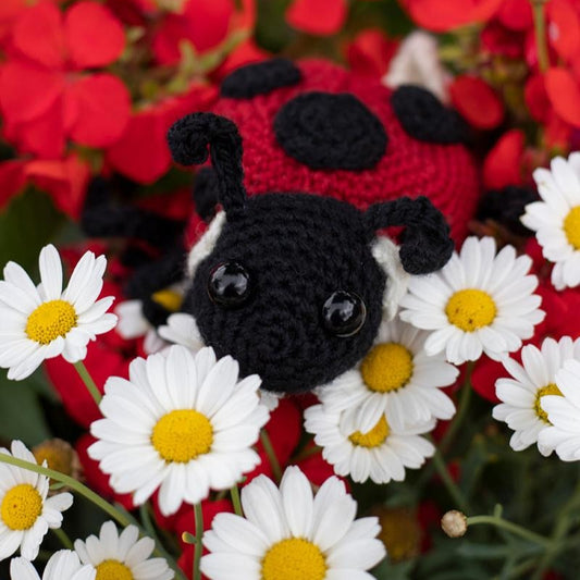 Toft Crochet Kit- Ava the Ladybird