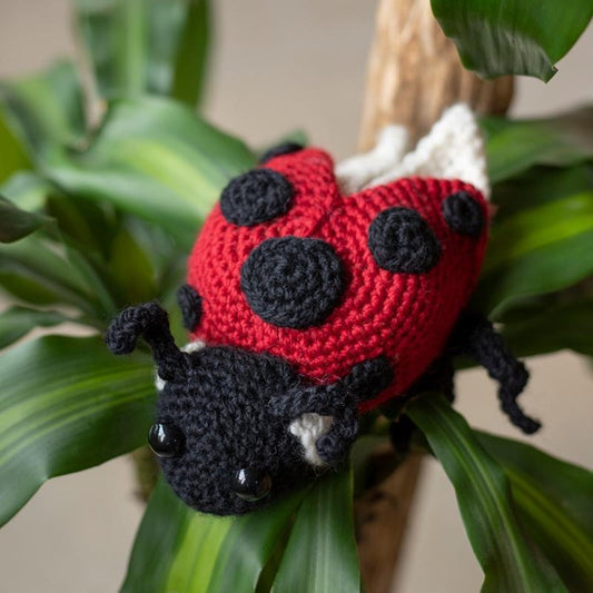 Toft Crochet Kit- Ava the Ladybird